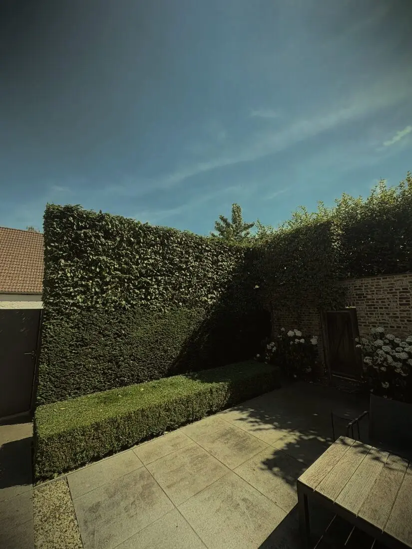 Onderhouden binnentuin