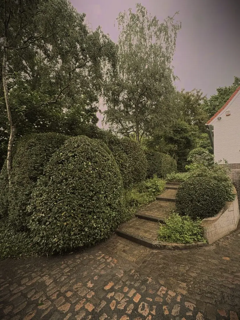 Vormsnoei door Goris Tuinwerken